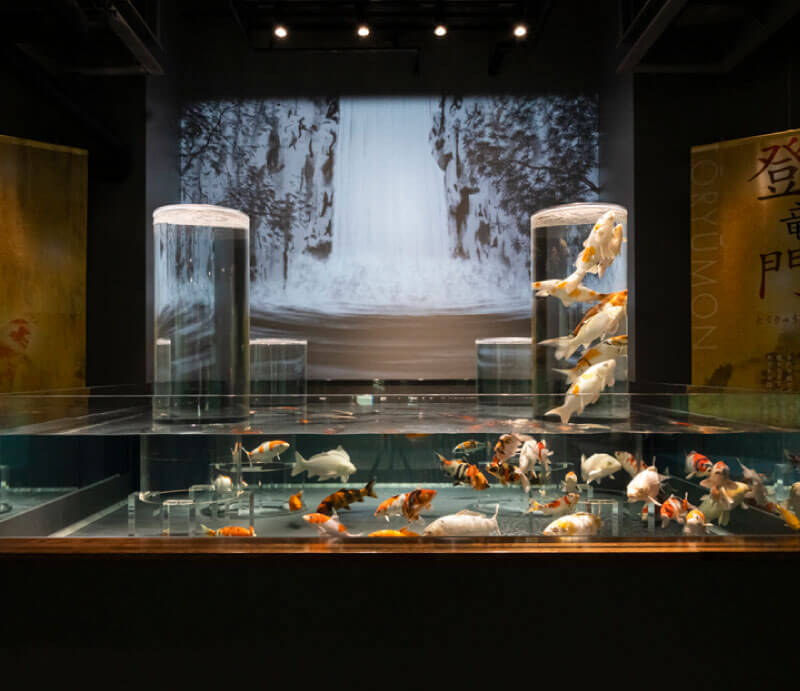 はつこい庵｜みやじマリン宮島水族館