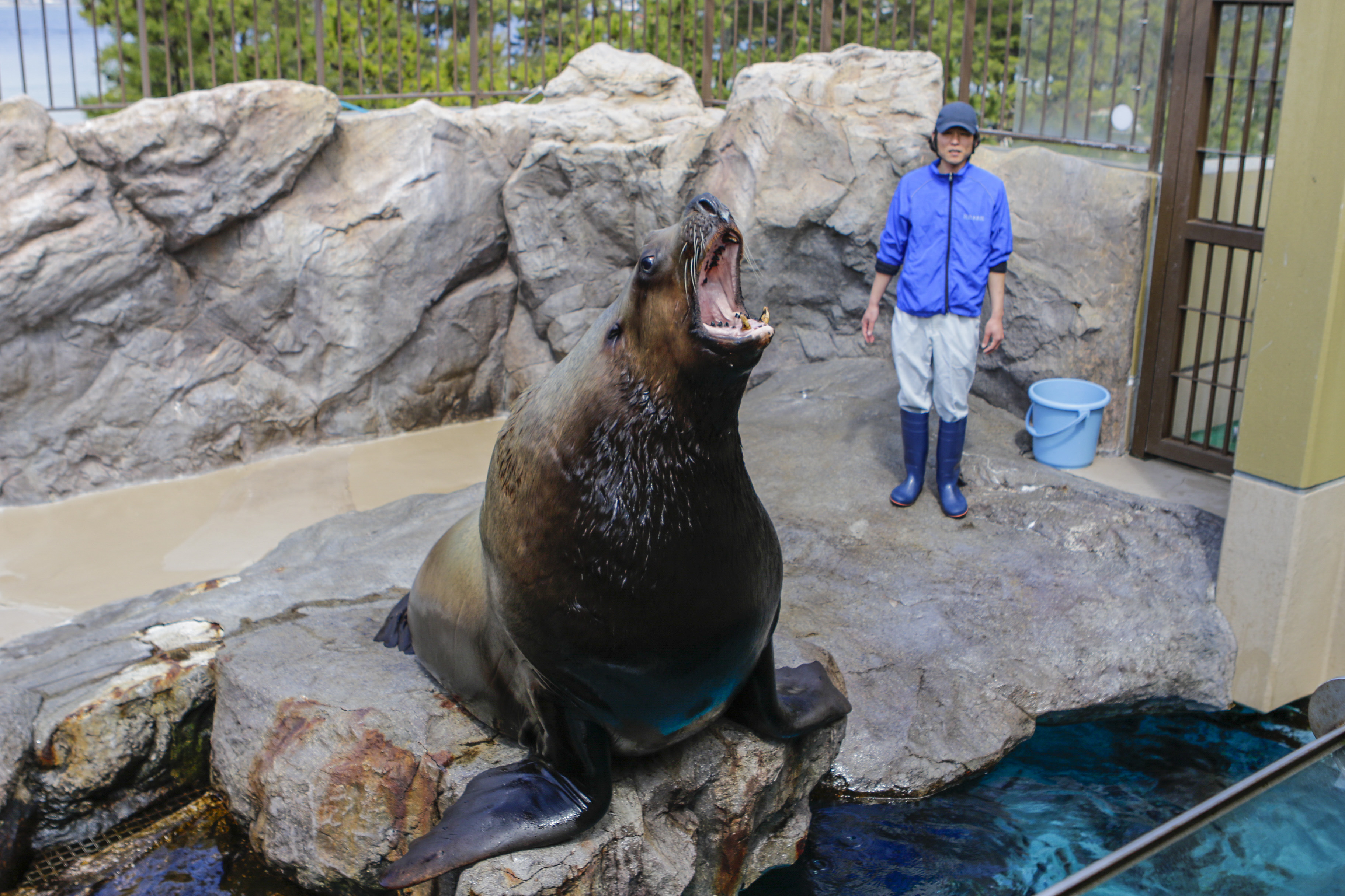 トドプール(2階)