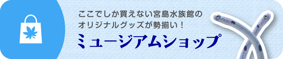 ミュージアムショップ
