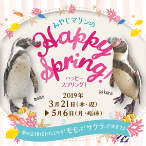 ハッピースプリング_スマホバナー.jpg