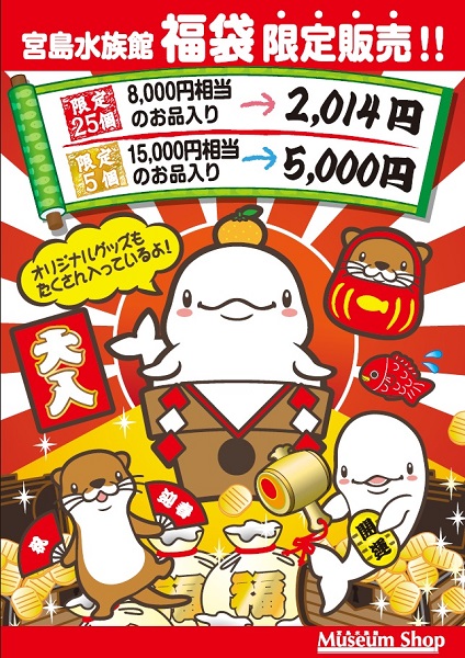 fukubukuro fukubukuro