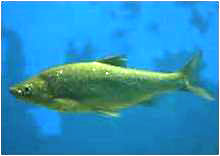 et2_wataka et2_wataka