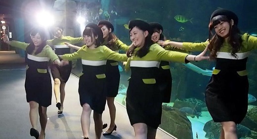 ブラッコダンス撮影中 ブラッコダンス撮影中