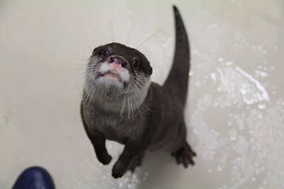 握手しようやぁ 握手しようやぁ