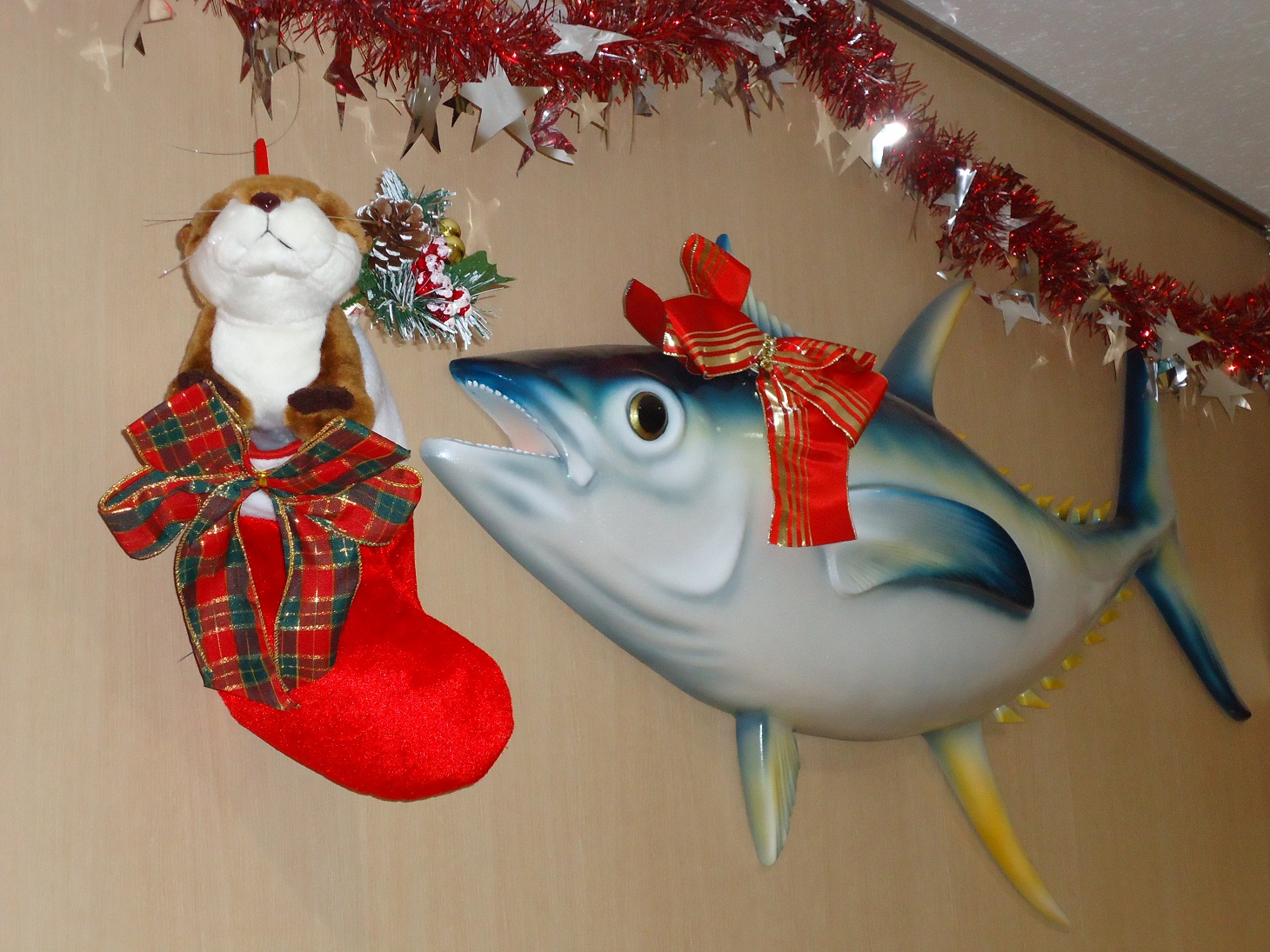 キッチン1 キッチン1