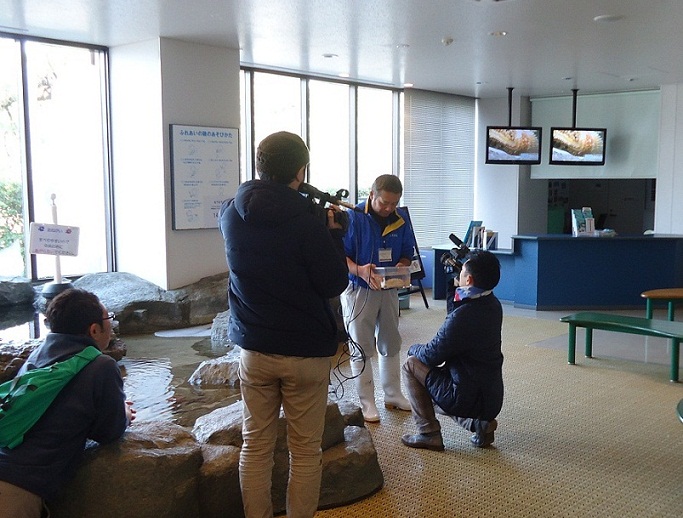 白ナマコ取材1 白ナマコ取材1