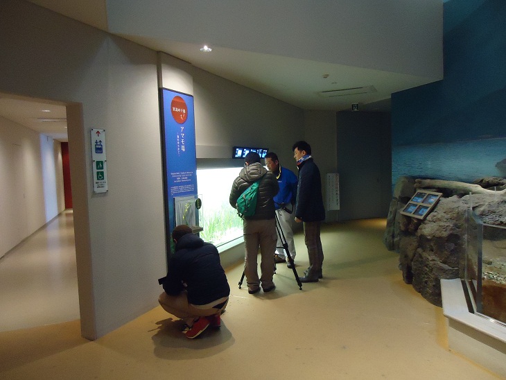 白ナマコ取材2 白ナマコ取材2