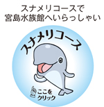 Sコース Sコース