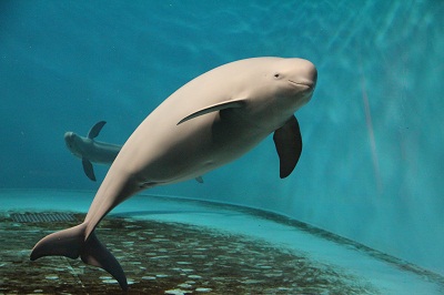 コハル4 コハル4