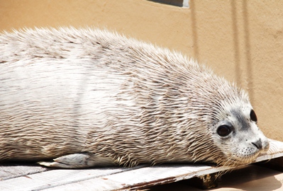 赤ちゃん2 赤ちゃん2