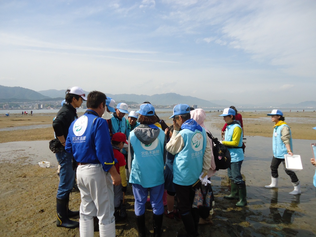 晴天の干潟 晴天の干潟