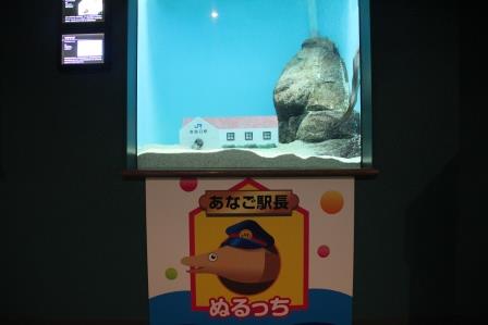 水槽カキ裏 水槽カキ裏