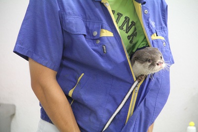 イツキ2 イツキ2