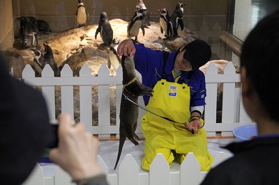 イツキ3 イツキ3