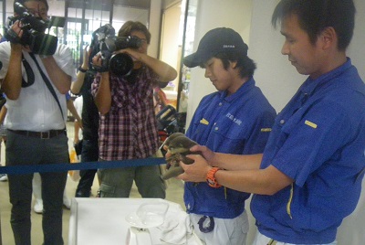 カワウソ公開 カワウソ公開