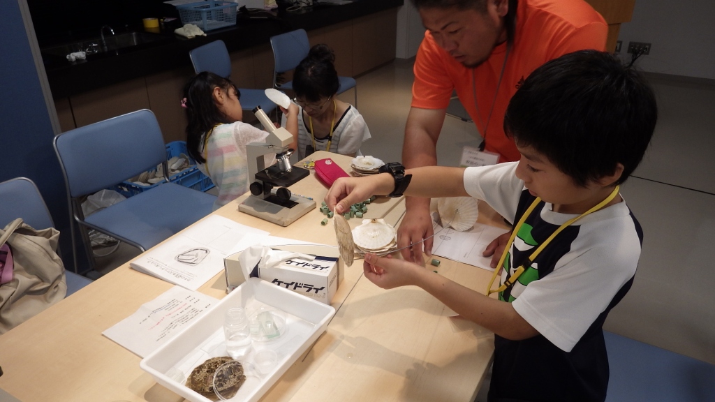 カキのおうち カキのおうち