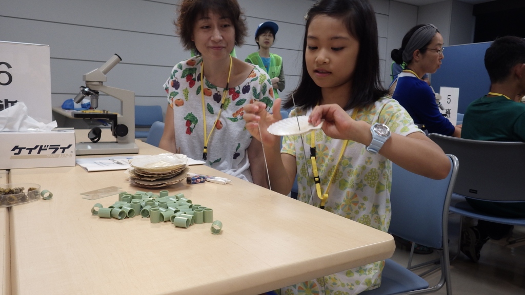 カキのおうち2 カキのおうち2