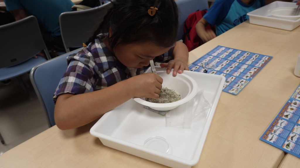 さがし中 さがし中