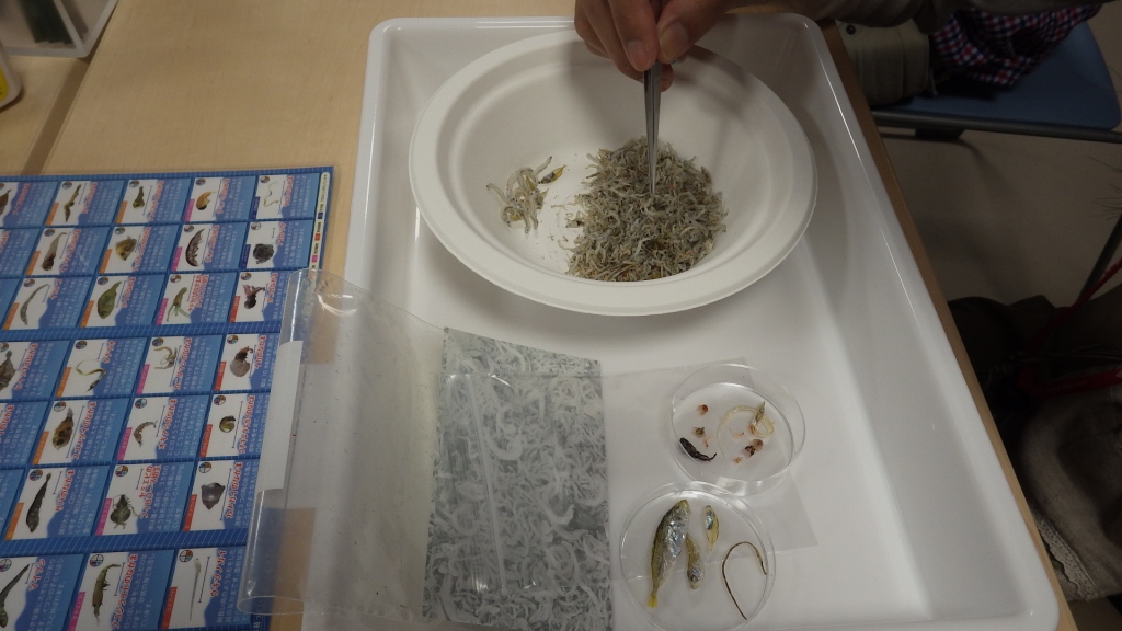 とりわけ とりわけ