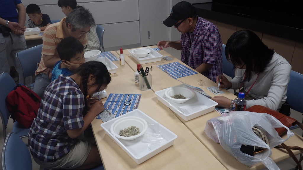 大人もハマる 大人もハマる