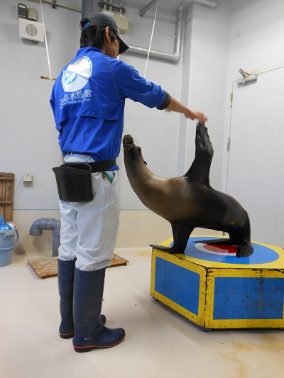 トレーニング2 トレーニング2