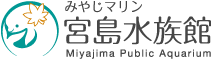 みやじマリン　宮島水族館　Miyajima Public Aquarium